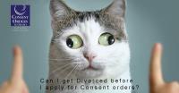 Consent Orders Australia image 11